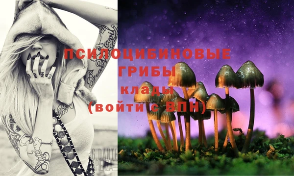 кокаин колумбия Белокуриха