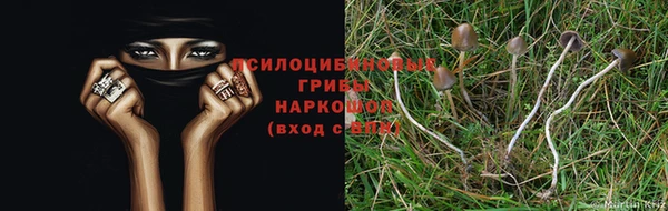 а пвп мука Беломорск