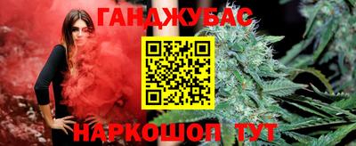 СК Майкоп