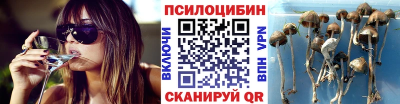 Галлюциногенные грибы MAGIC MUSHROOMS  Армавир 